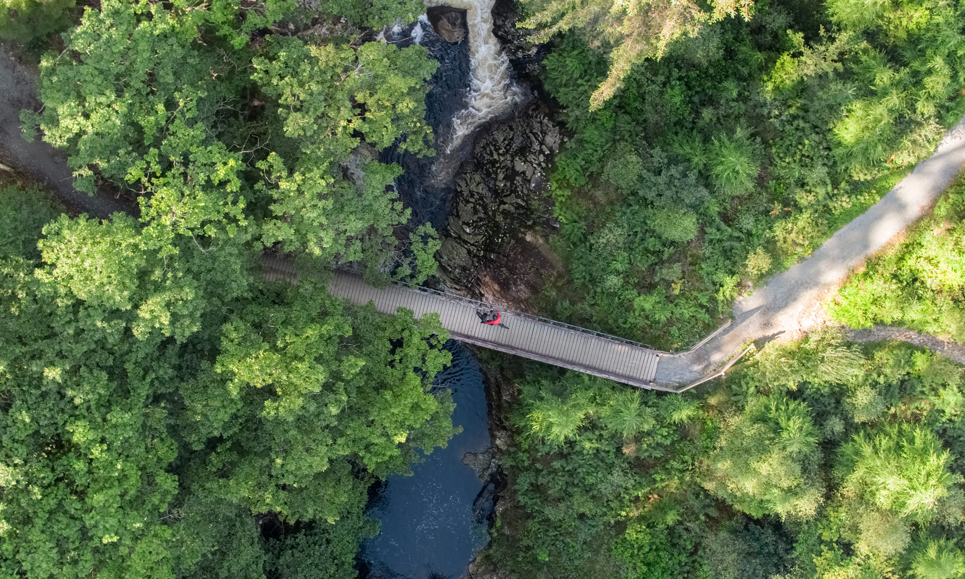 Drone image of Coed y Brenin mountain bike trail