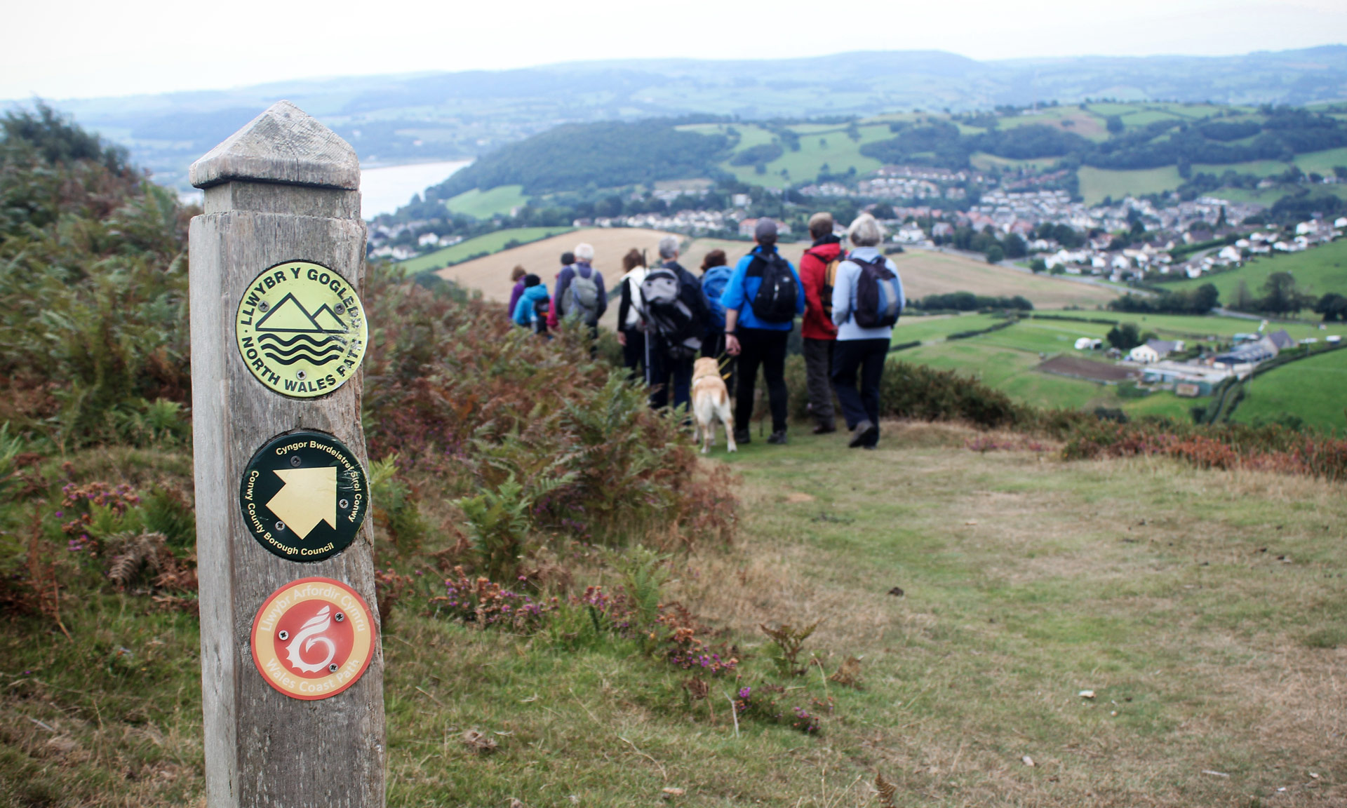 Countryside code symbols on signpost