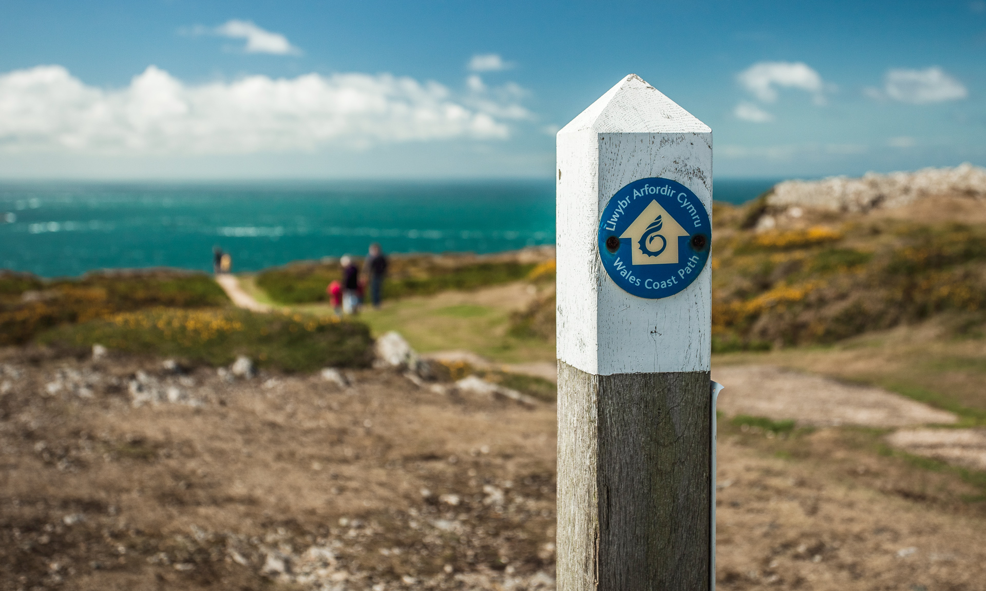Wales Coastal Path signpost