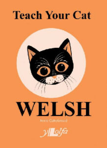 Teach your Cat Welsh