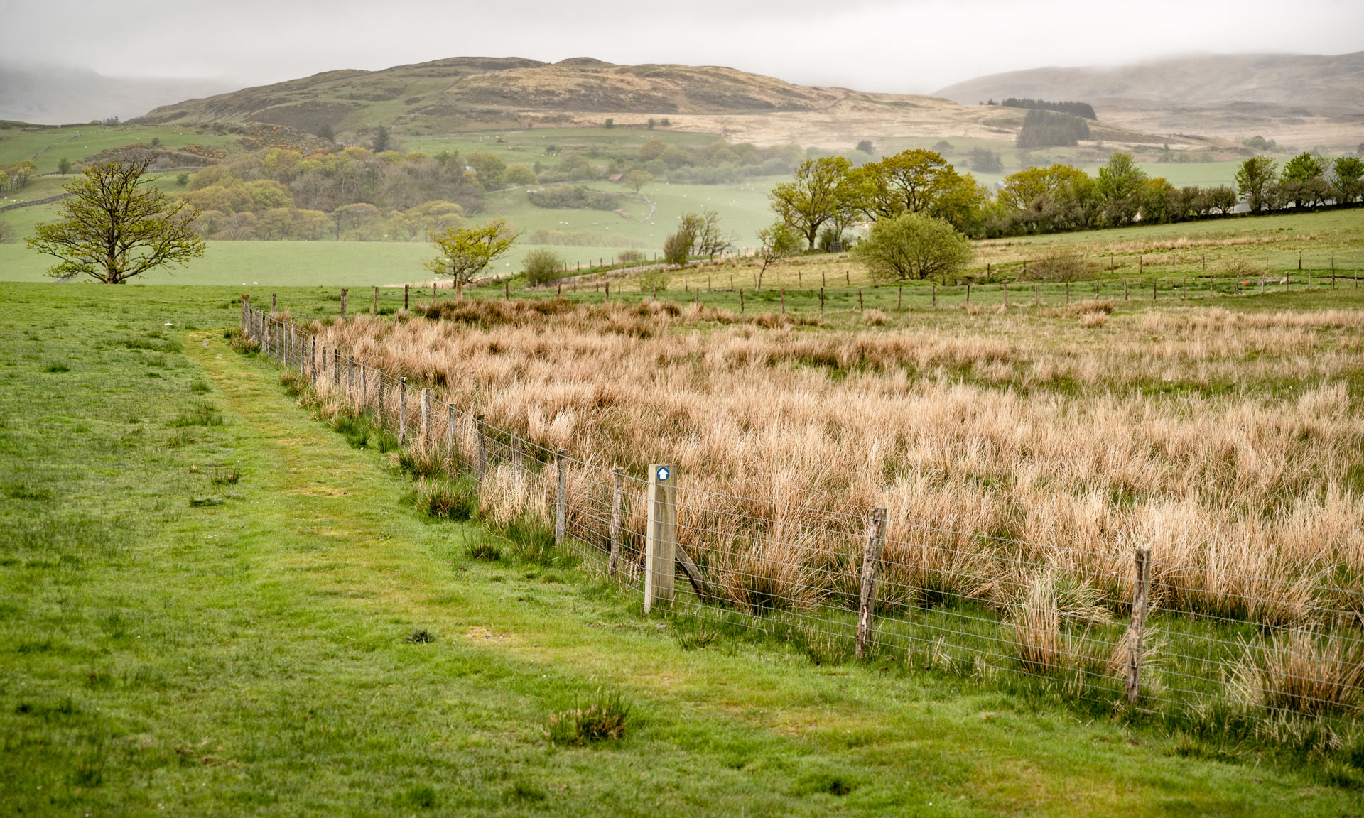 One of Yr Ysgwrn's walking paths leads along a fence in farmland
