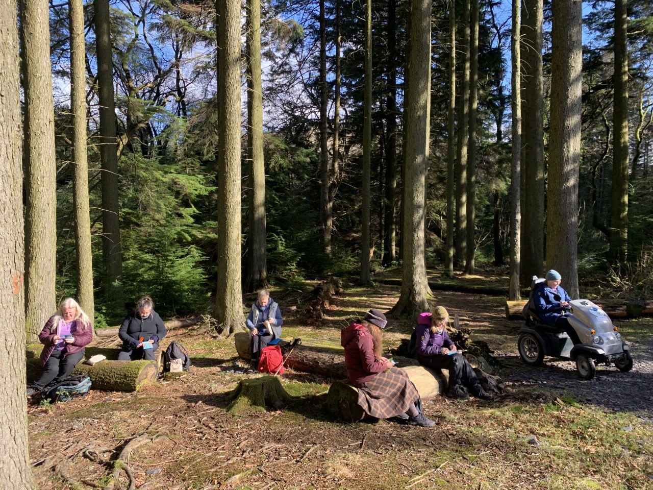 A group of people on a Walking and Weaving event in a forest.