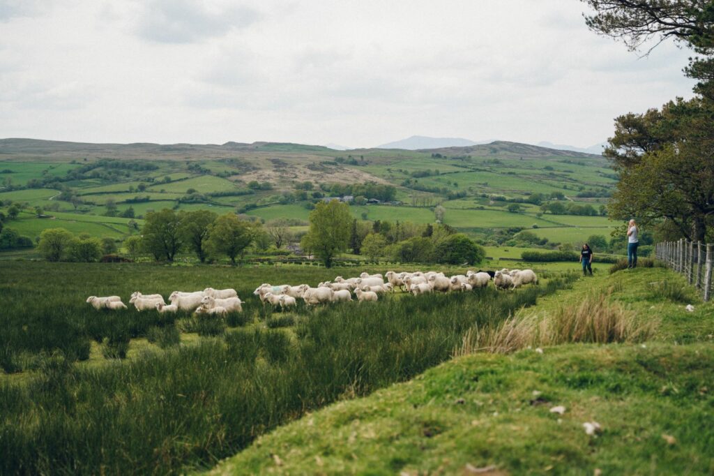 When Is The Best Time To Visit Eryri? | Snowdonia National Park