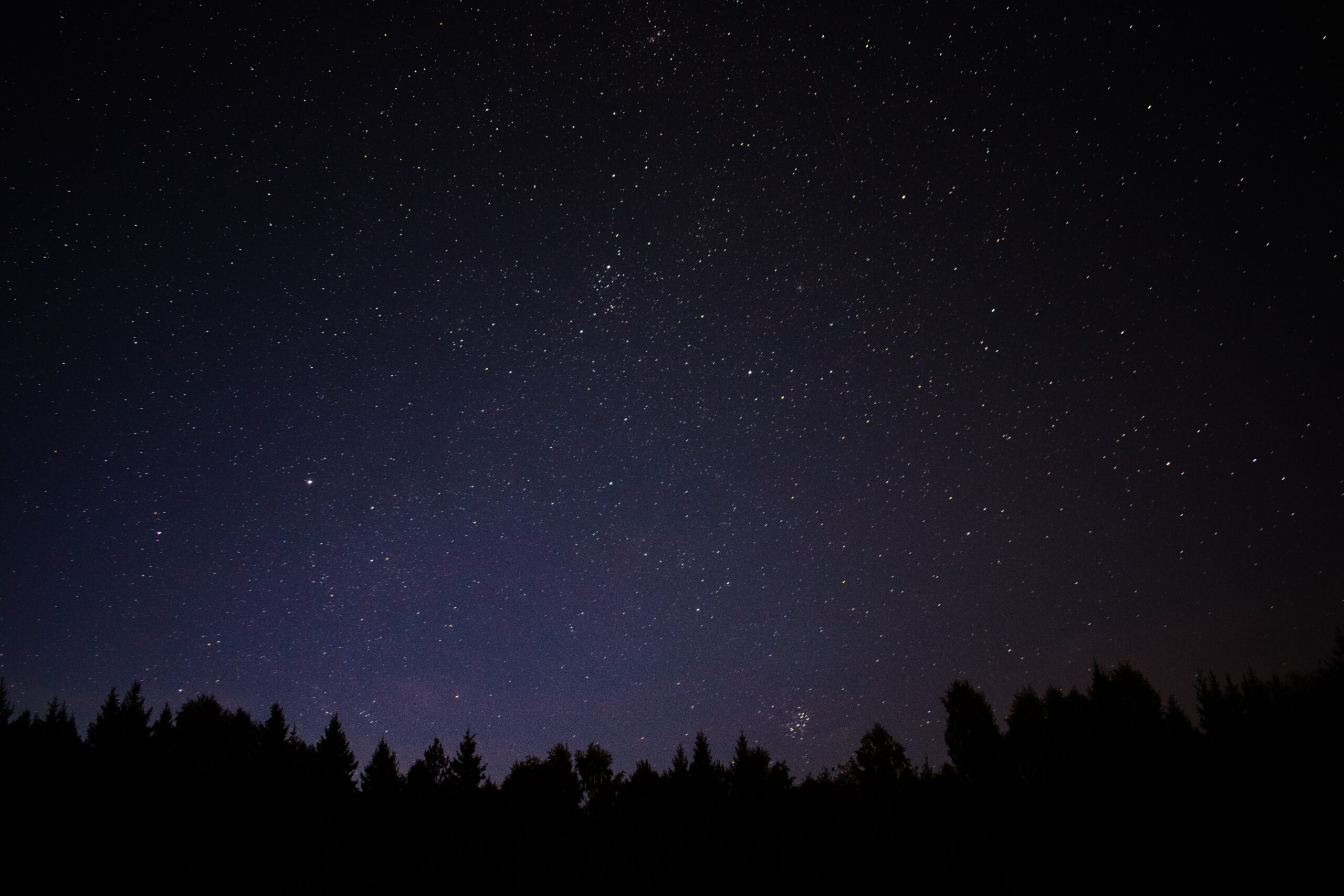 The star-studded dark night of Eryri above a forest tree line